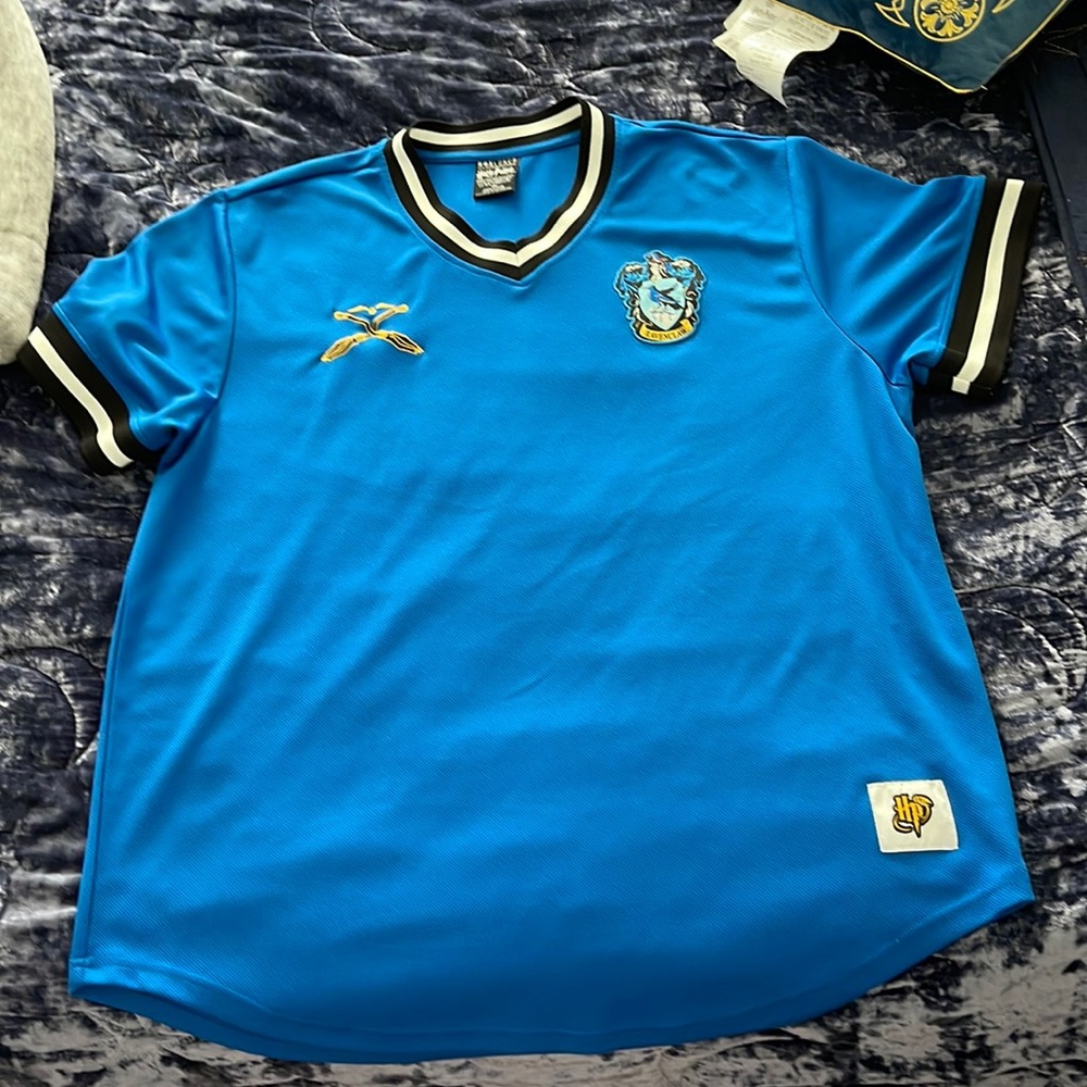Unisex Ravenclaw Jersey